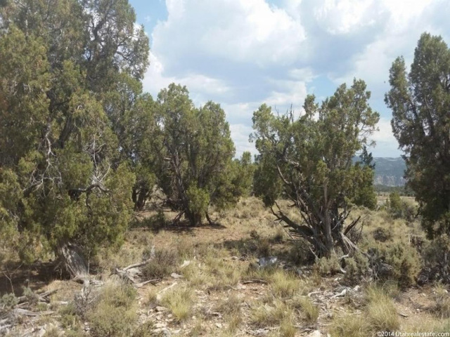 #18A, Fruitland, UT 84027 — photo 6