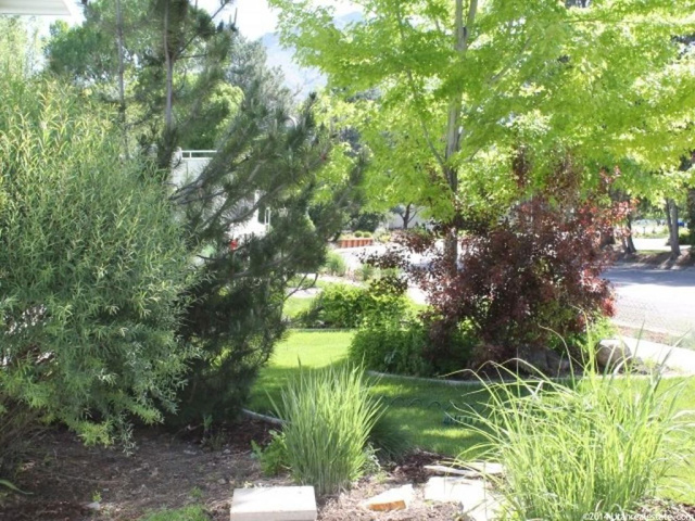 1174 E Sumac Dr, Logan, UT 84321 — photo 4