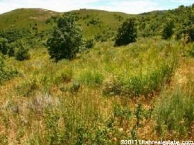 7800 N 10000 W, Fielding, UT 84311 — photo 3