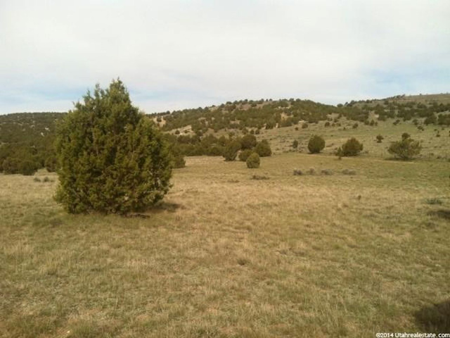 8750 E 1900 S, Fairview, UT 84629 — photo 2