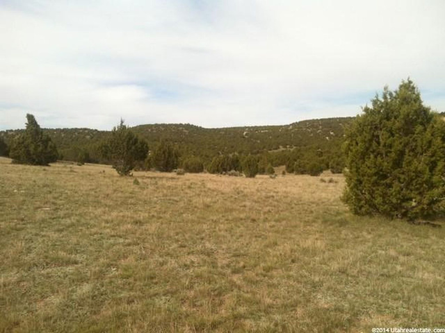 8750 E 1900 S, Fairview, UT 84629 — photo 3