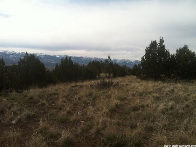 8750 E 1900 S, Fairview, UT 84629 — photo 4