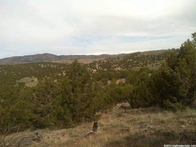 8750 E 1900 S, Fairview, UT 84629 — photo 7
