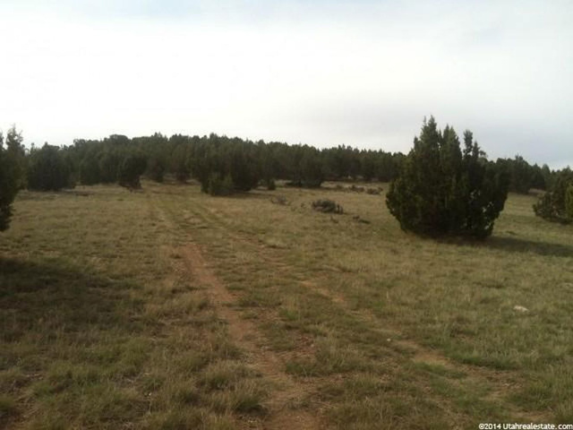 8750 E 1900 S, Fairview, UT 84629 — photo 10