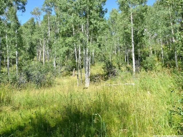 #18, Tabiona, UT 84072 — photo 3