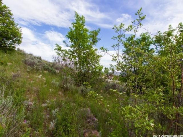 5576 E Elkhorn Dr #57, Eden, UT 84310 — photo 2