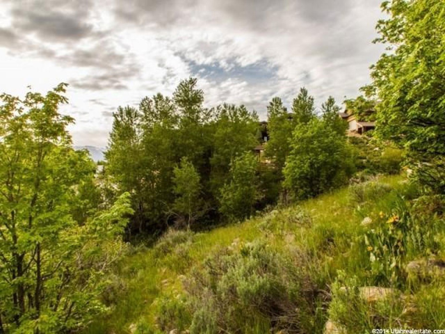 5576 E Elkhorn Dr #57, Eden, UT 84310 — photo 12