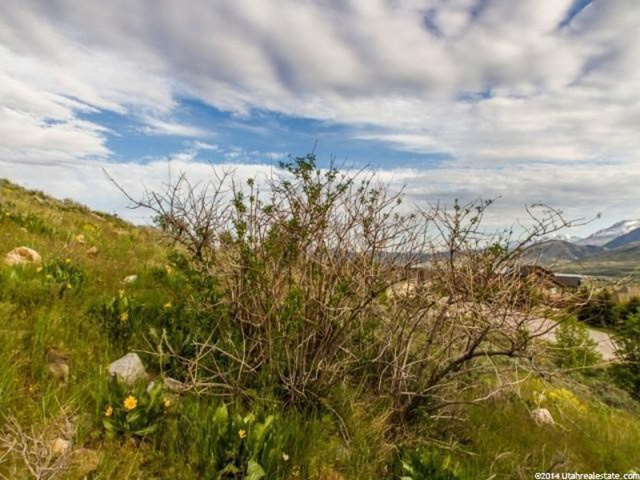 5576 E Elkhorn Dr #57, Eden, UT 84310 — photo 10