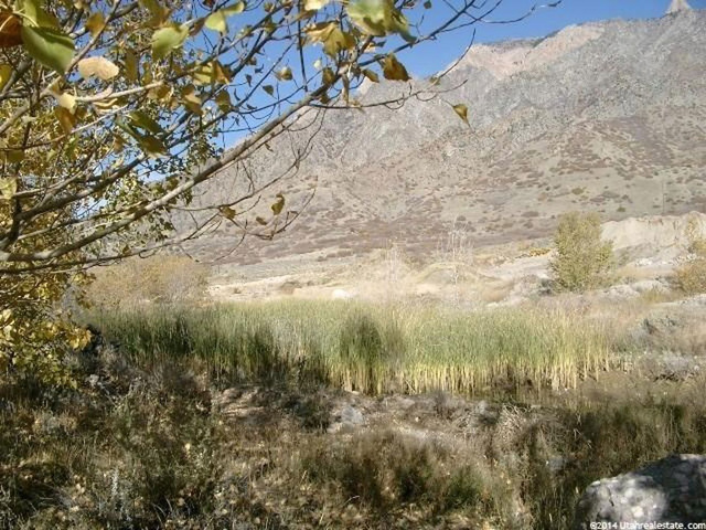 565 W 7950 S, Willard, UT 84340 — photo 2