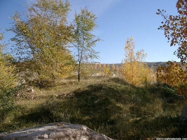 565 W 7950 S, Willard, UT 84340 — photo 6