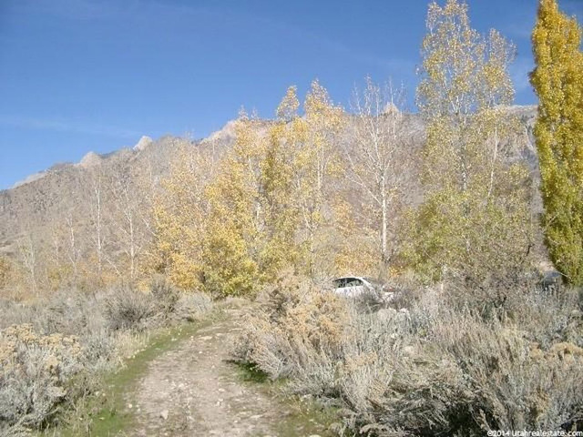 565 W 7950 S, Willard, UT 84340 — photo 7