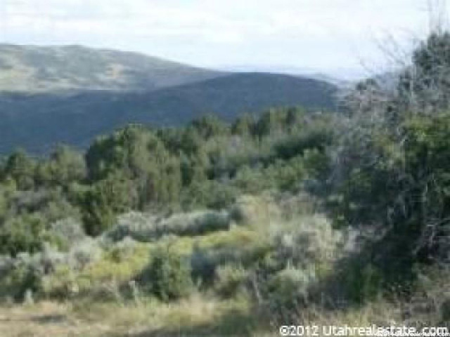 7 N Big Holw E #7, Fairview, UT 84629 — photo 3