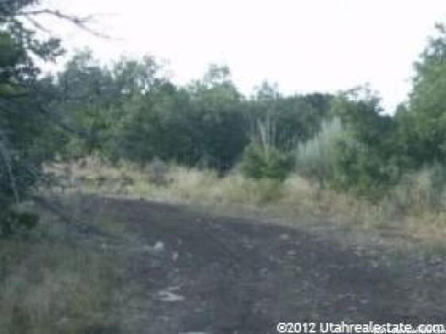 7 N Big Holw E #7, Fairview, UT 84629 — photo 7