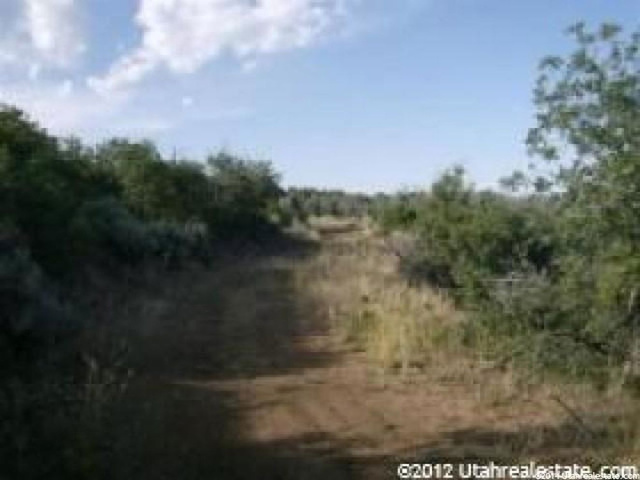 7 N Big Holw E #7, Fairview, UT 84629 — photo 8