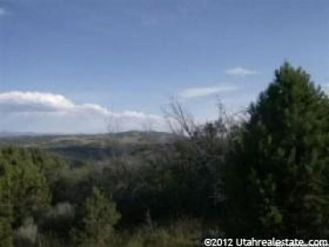 7 N Big Holw E #7, Fairview, UT 84629 — photo 9