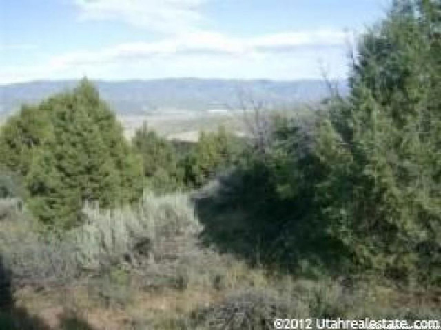 7 N Big Holw E #7, Fairview, UT 84629 — photo 10