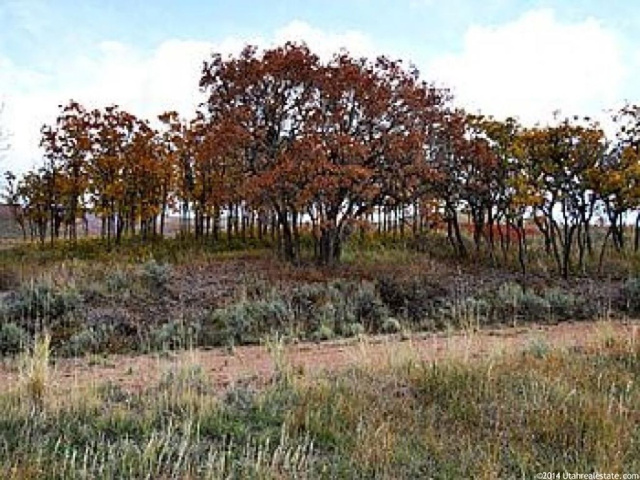 11111 N Lariat Ct E #60, Hideout, UT 84036 — photo 11