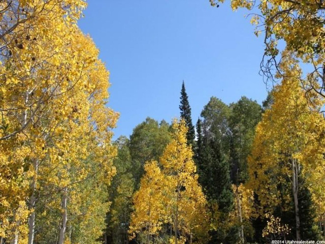 #89, Fairview, UT 84629 — photo 8