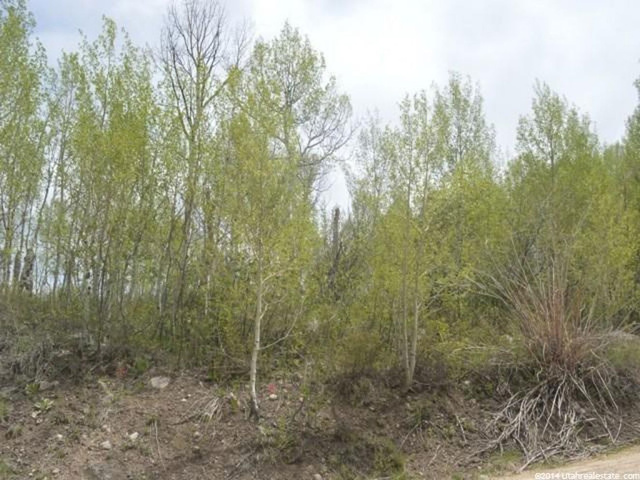 11025 E Maple Rd #25, Heber City, UT 84032 — photo 4