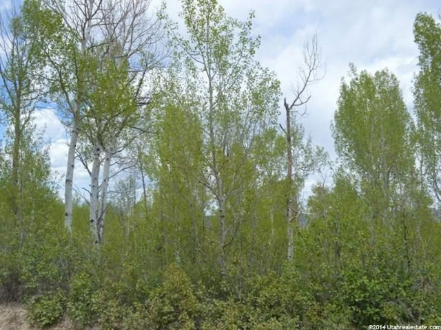 11025 E Maple Rd #25, Heber City, UT 84032 — photo 8