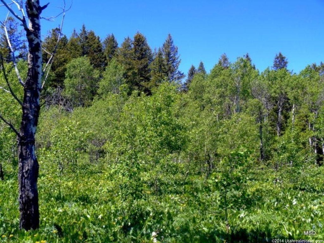 #39, Montpelier, ID 83254 — photo 6