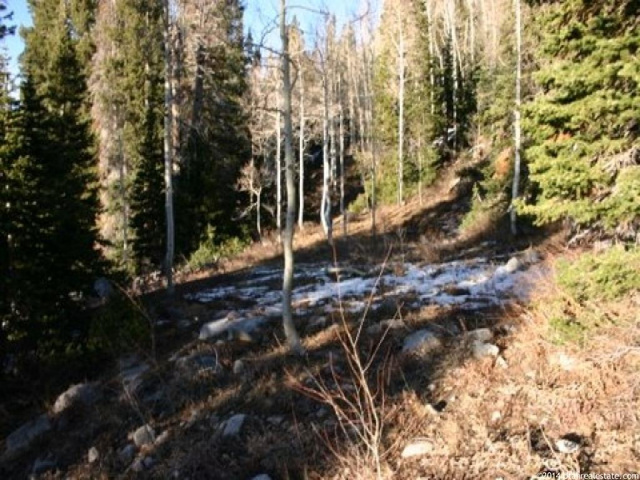 #N/A, Brighton, UT 84121 — photo 4