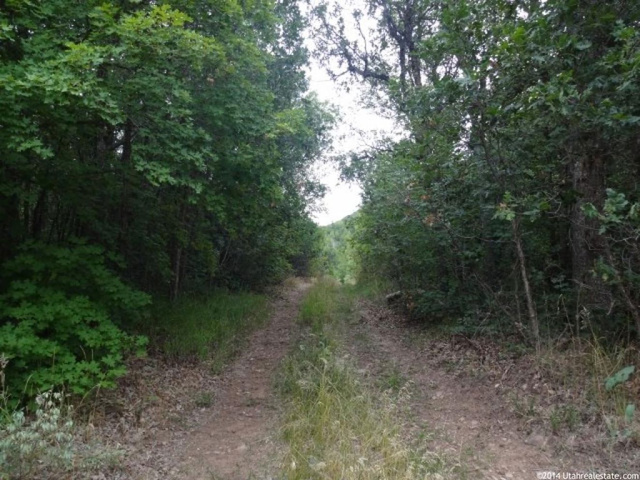 #9, Springville, UT 84663 — photo 2