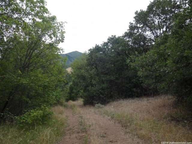 #9, Springville, UT 84663 — photo 11