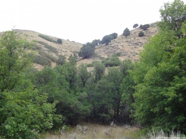 #9, Springville, UT 84663 — photo 12