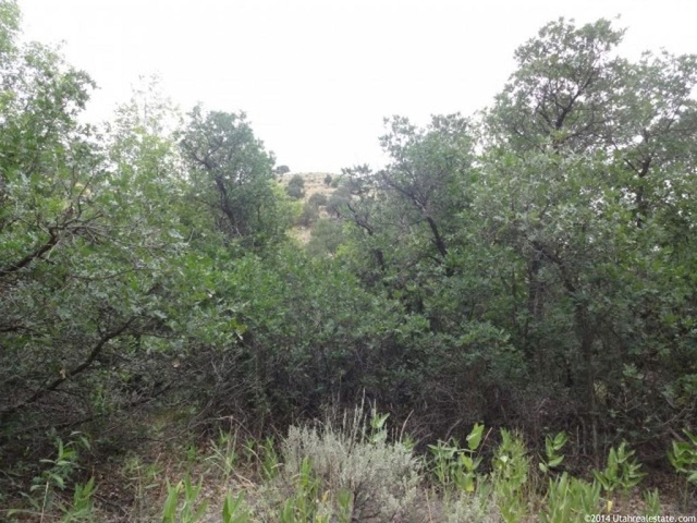 #9, Springville, UT 84663 — photo 3