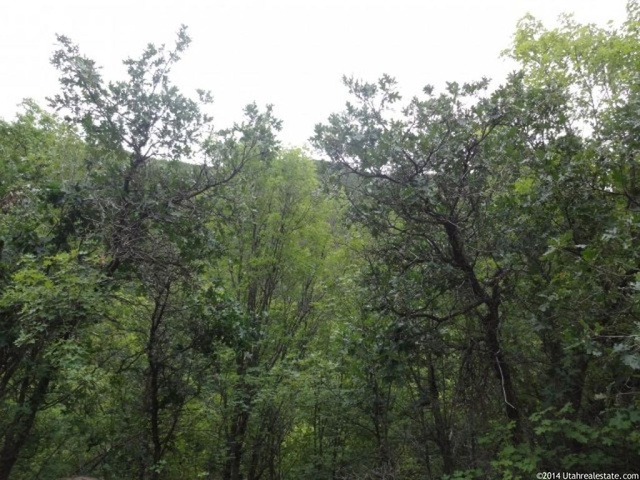 #9, Springville, UT 84663 — photo 4