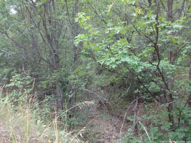 #9, Springville, UT 84663 — photo 5