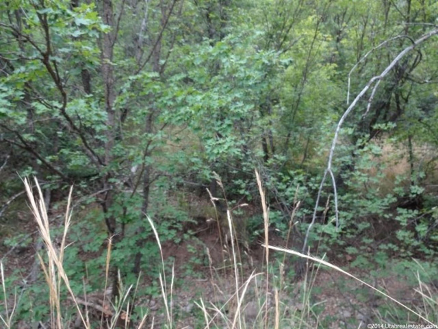 #9, Springville, UT 84663 — photo 6