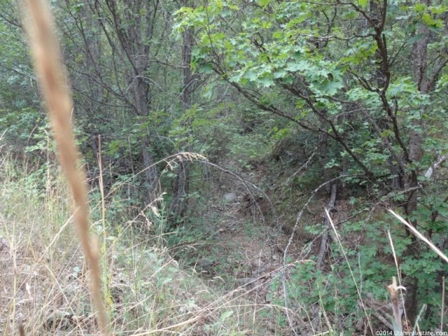 #9, Springville, UT 84663 — photo 7