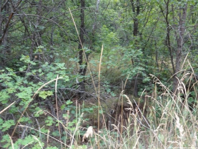 #9, Springville, UT 84663 — photo 8