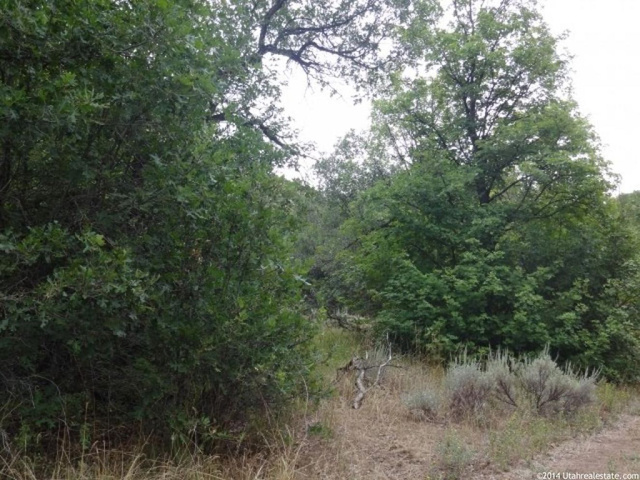 #9, Springville, UT 84663 — photo 10