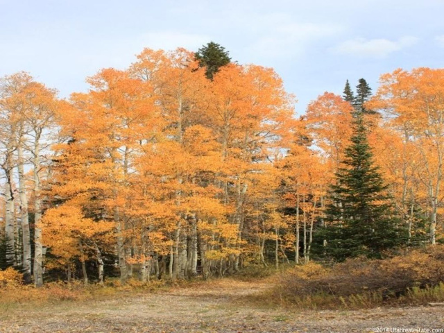 #173, Fairview, UT 84629 — photo 4
