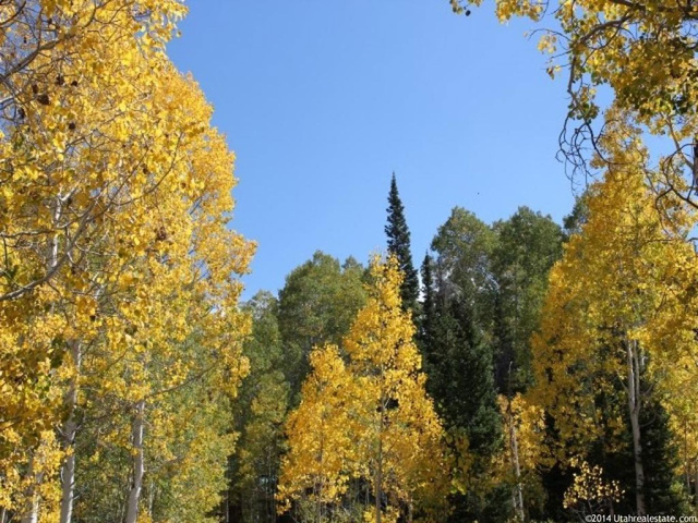 #173, Fairview, UT 84629 — photo 5