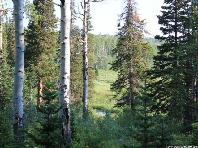 #172, Fairview, UT 84629 — photo 3