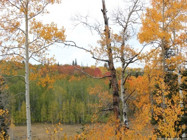 #172, Fairview, UT 84629 — photo 5