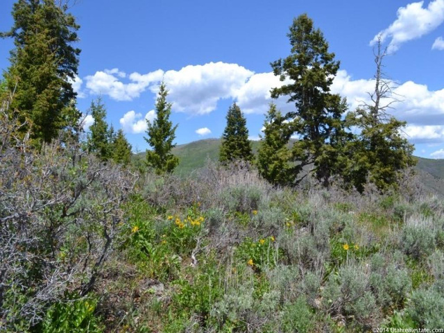 1050 Pinemeadow Dr #14, Wanship, UT 84017 — photo 2