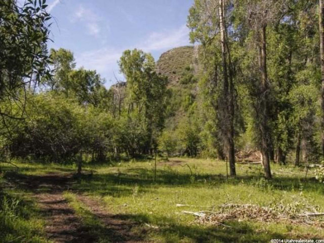5400 N Woodenshoe Ln E, Peoa, UT 84061 — photo 8