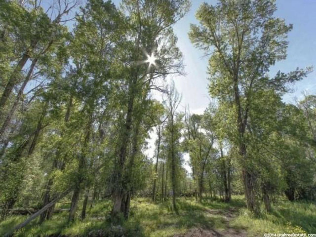 5400 N Woodenshoe Ln E, Peoa, UT 84061 — photo 9
