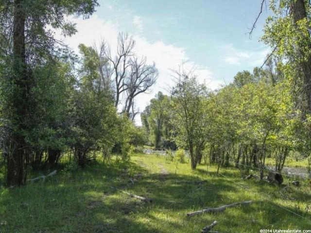 5400 N Woodenshoe Ln E, Peoa, UT 84061 — photo 10