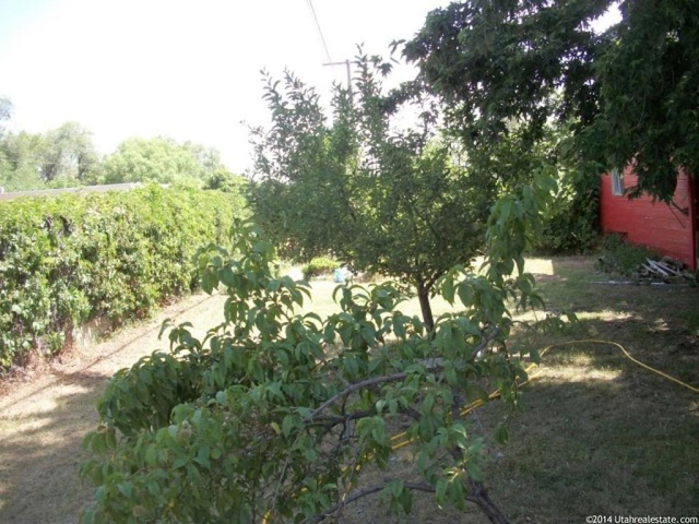 165 Ross Dr, Clearfield, UT 84015 — photo 5