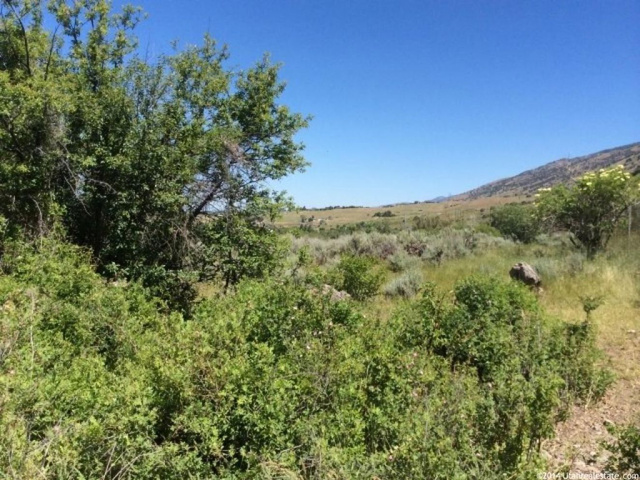 Millville, UT 84326 — photo 11
