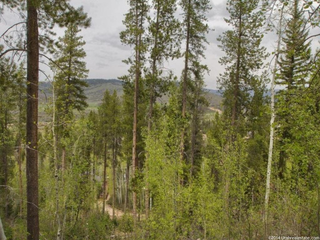 6282 E Cougar Ln S #24, Kamas, UT 84036 — photo 6