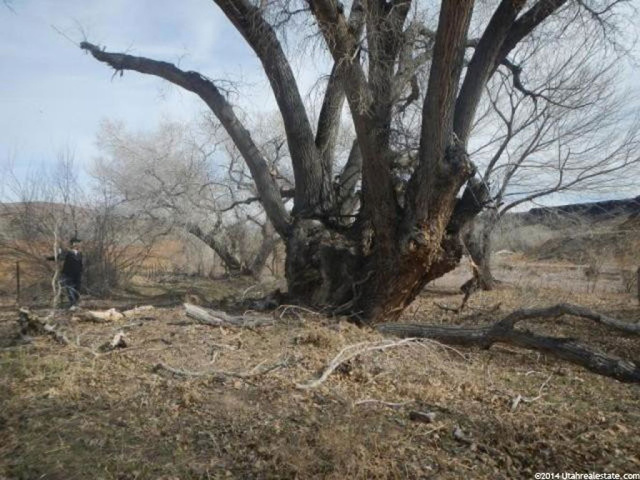 Gunlock Rd, Gunlock, UT 84733 — photo 9