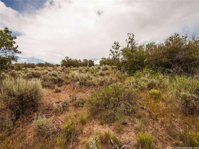 1340 E Lasso Trl #1216, Hideout, UT 84036 — photo 6