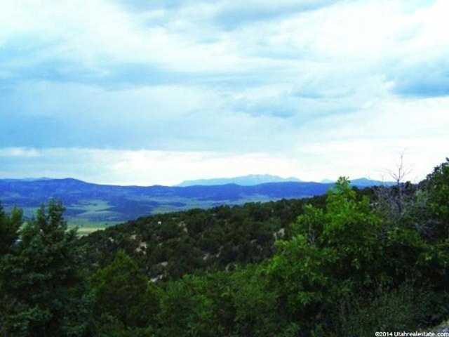 13136 E 22320 N #4, Fairview, UT 84629 — photo 4
